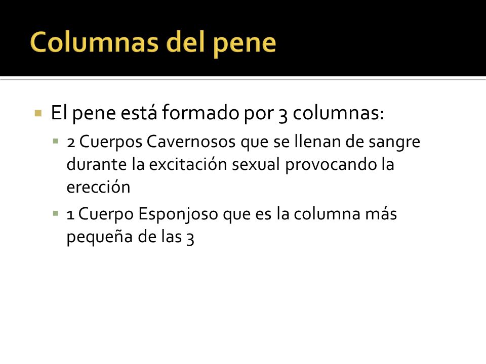 Por que hierba aumentar el miembro